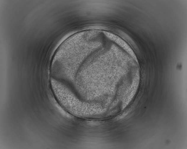 X0000092290852200710121432