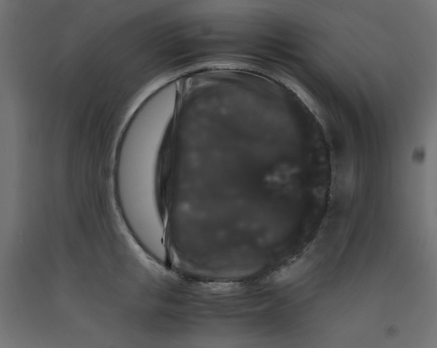 X0000092290853200710121432