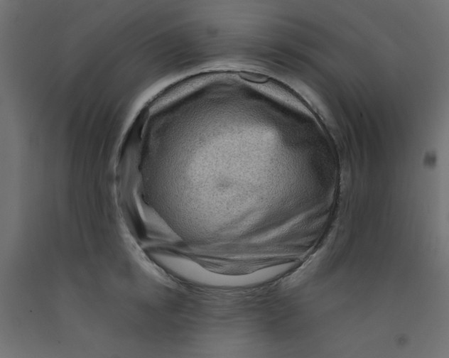 X0000092290854200710121432