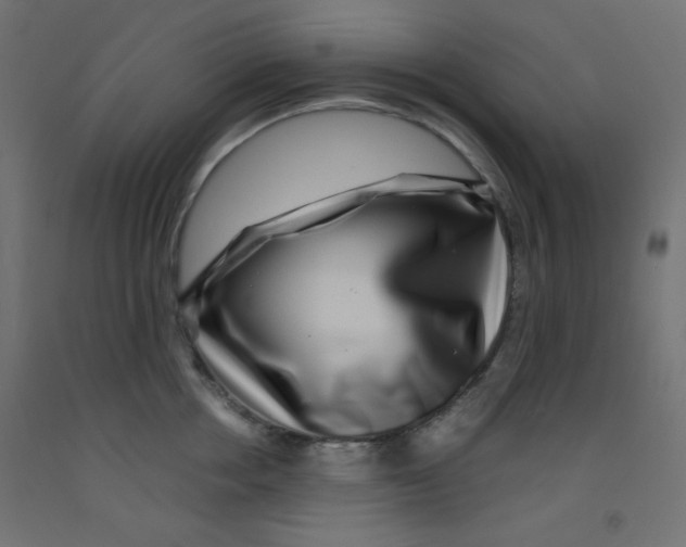 X0000092290858200710121432