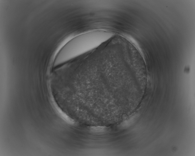 X0000092290859200710121432