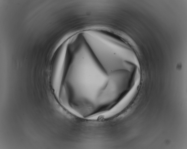 X0000092290860200710121432