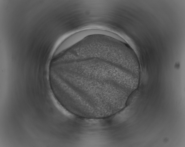 X0000092290862200710121432