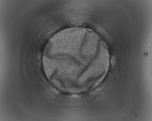 X0000092290867200710121432