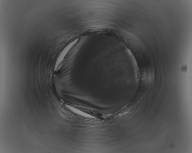 X0000092290868200710121432