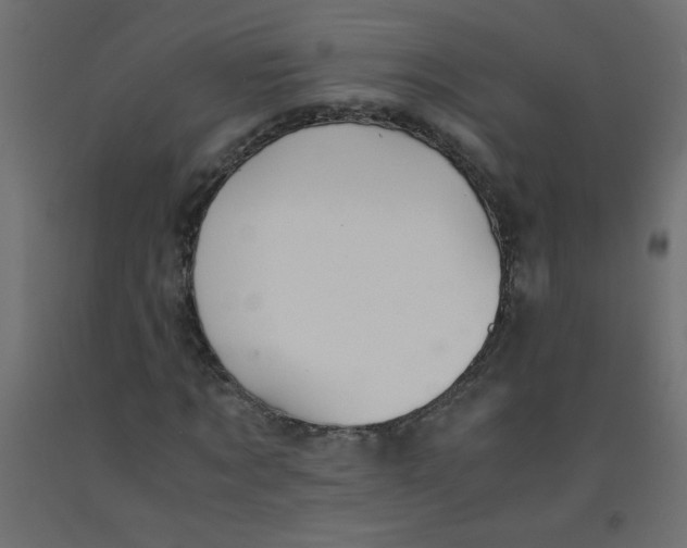 X0000092290869200710121432