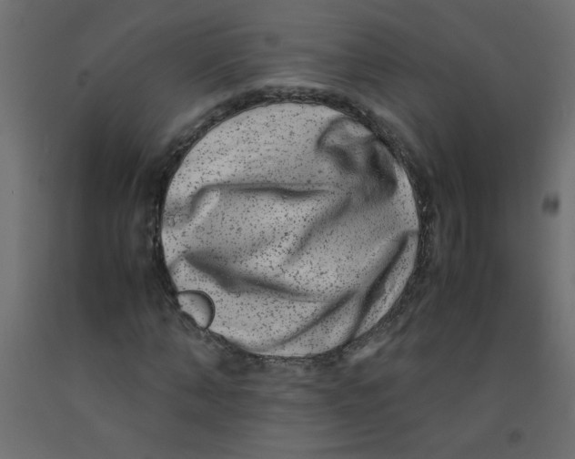 X0000092290870200710121432