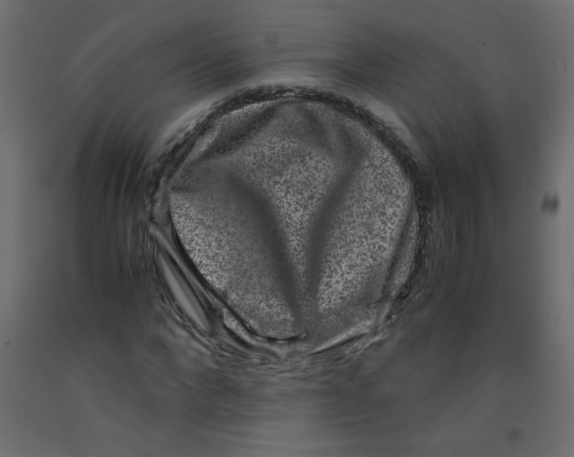 X0000092290872200710121432