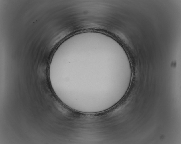 X0000092290873200710121432