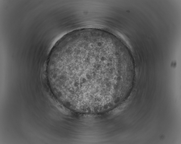 X0000092290875200710121431