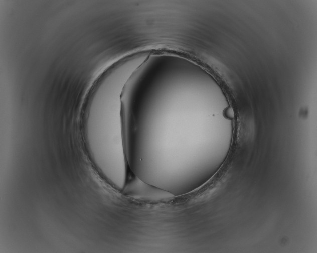 X0000092290876200710121431