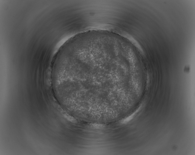 X0000092290878200710121431