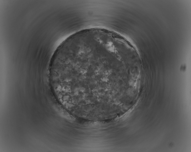 X0000092290879200710121431