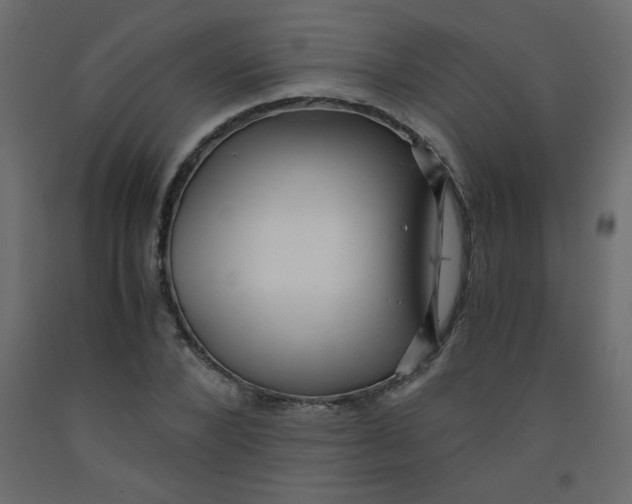 X0000092290880200710121431