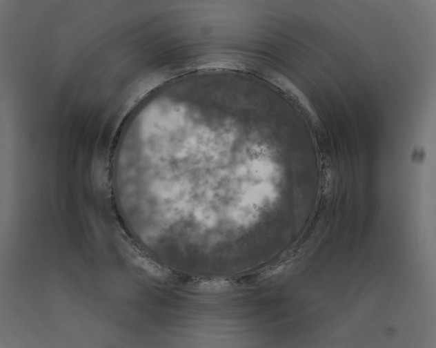 X0000092290882200710121431