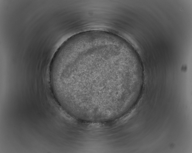 X0000092290883200710121431