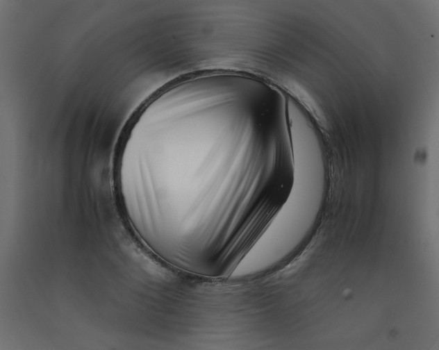 X0000092290884200710121431