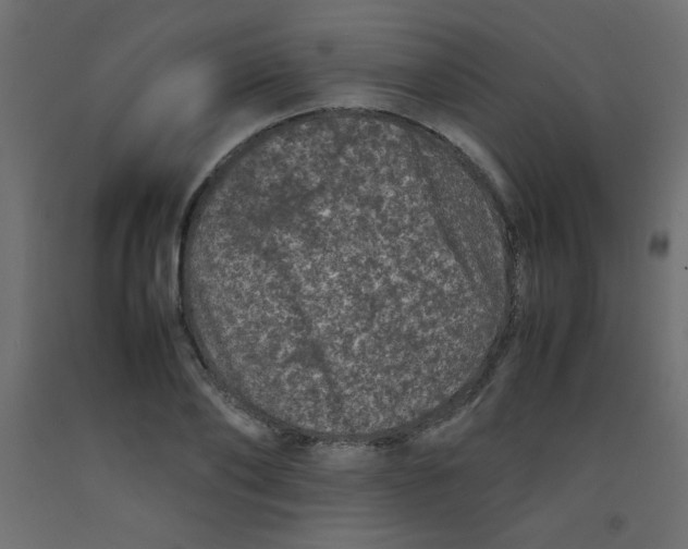 X0000092290886200710121431