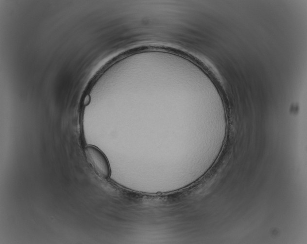 X0000092290887200710121431