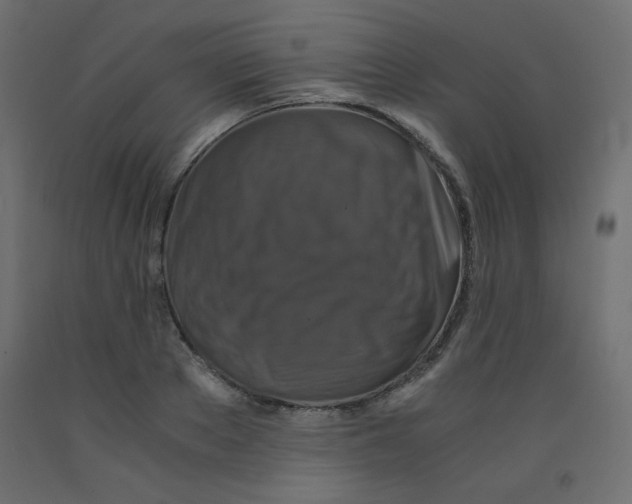 X0000092290889200710121431