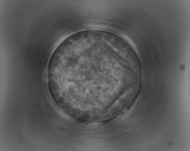 X0000092290891200710121431