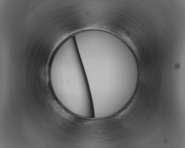 X0000092290892200710121431