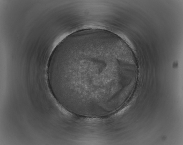 X0000092290893200710121431