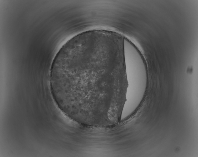 X0000092290895200710121431