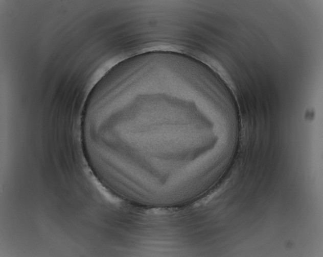 X0000092290898200710121431