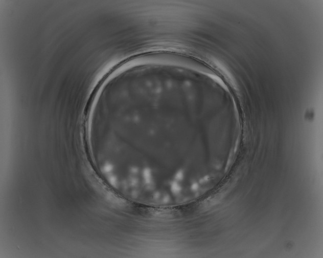 X0000092290899200710121431