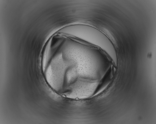 X0000092290900200710121431