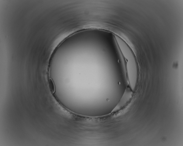 X0000092290901200710121431