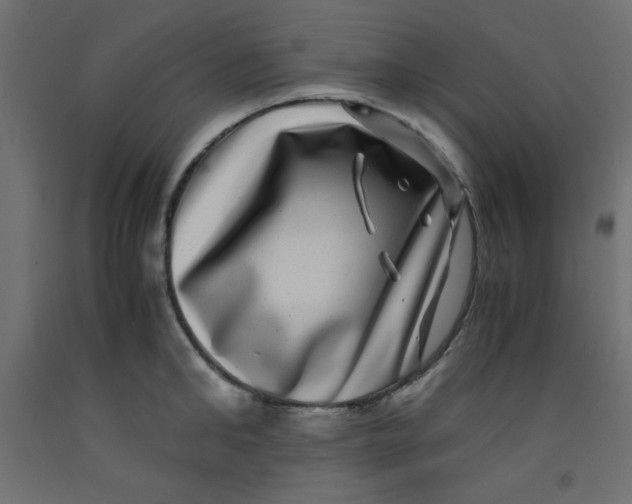 X0000092290902200710121431