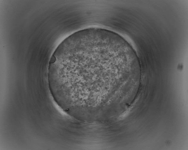 X0000092290903200710121431