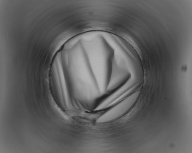 X0000092290906200710121431