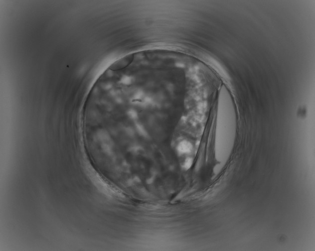 X0000092290907200710121431