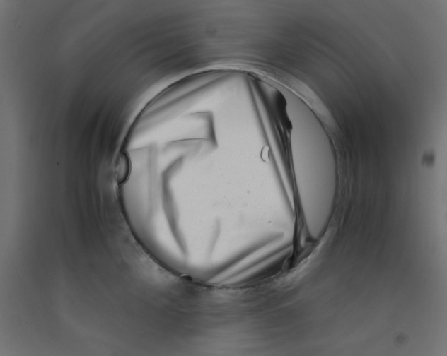 X0000092290908200710121431