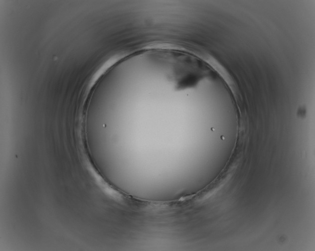 X0000092290909200710121431