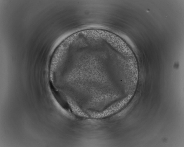 X0000092290910200710121431