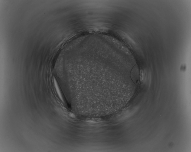 X0000092290915200710121430