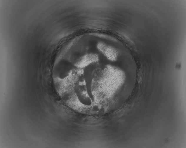 X0000092290917200710121430