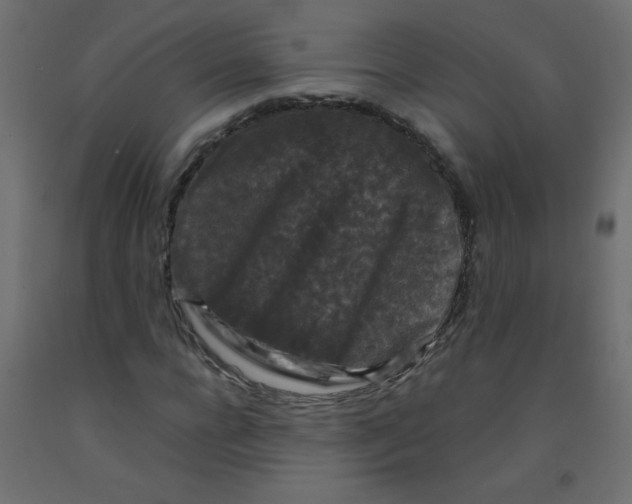 X0000092290920200710121431