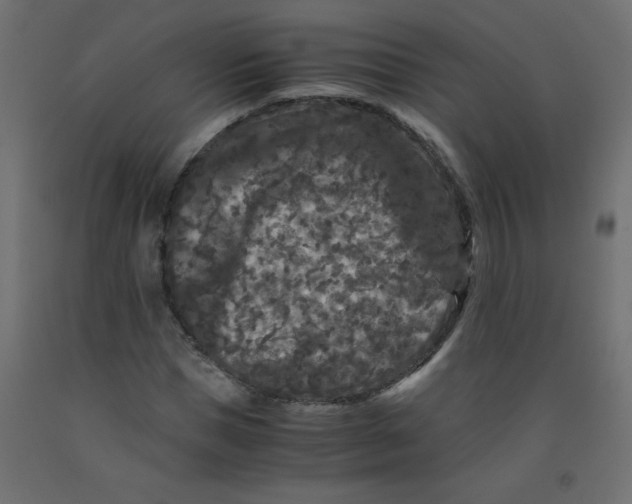 X0000092290921200710121431