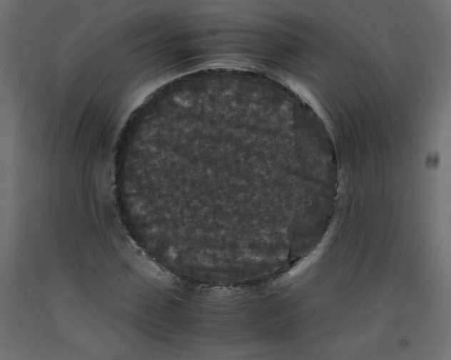 X0000092290923200710121431