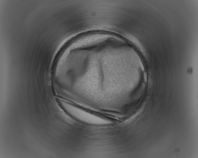 X0000092290924200710121431