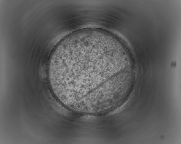 X0000092290929200710121431