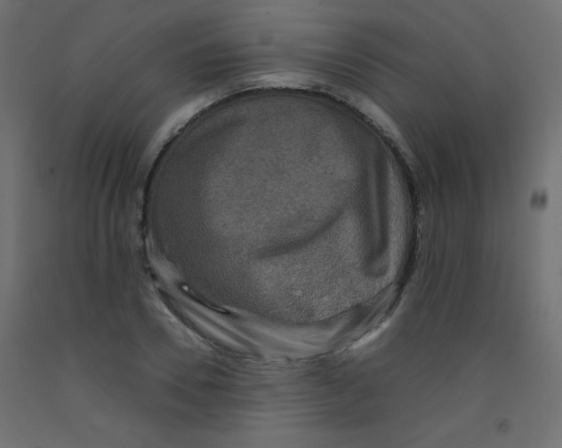 X0000092290930200710121431