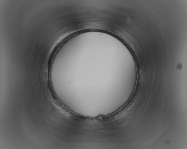 X0000092290931200710121431