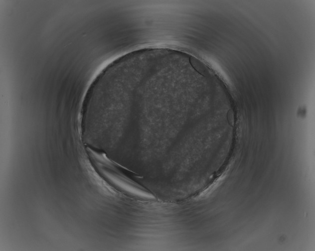 X0000092290932200710121431