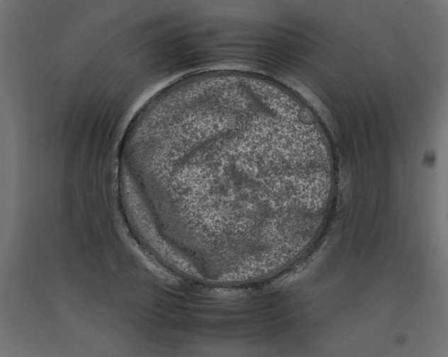 X0000092290933200710121431